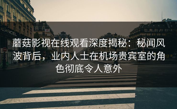 蘑菇影视在线观看深度揭秘：秘闻风波背后，业内人士在机场贵宾室的角色彻底令人意外