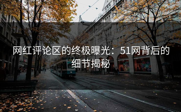 网红评论区的终极曝光：51网背后的细节揭秘